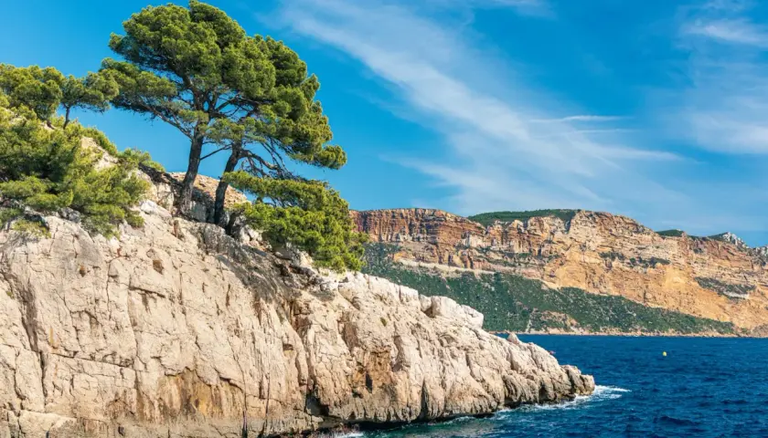 Skaliste wybrzeże z sosnami, błękitne morze i majestatyczne calanques w oddali.